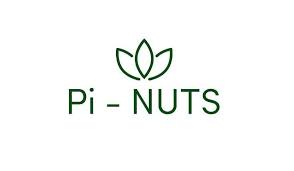 Pi-NUTS