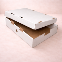 Pudełko z pokrywką, tacka na pączki ciasto 43x32x10 cm białe